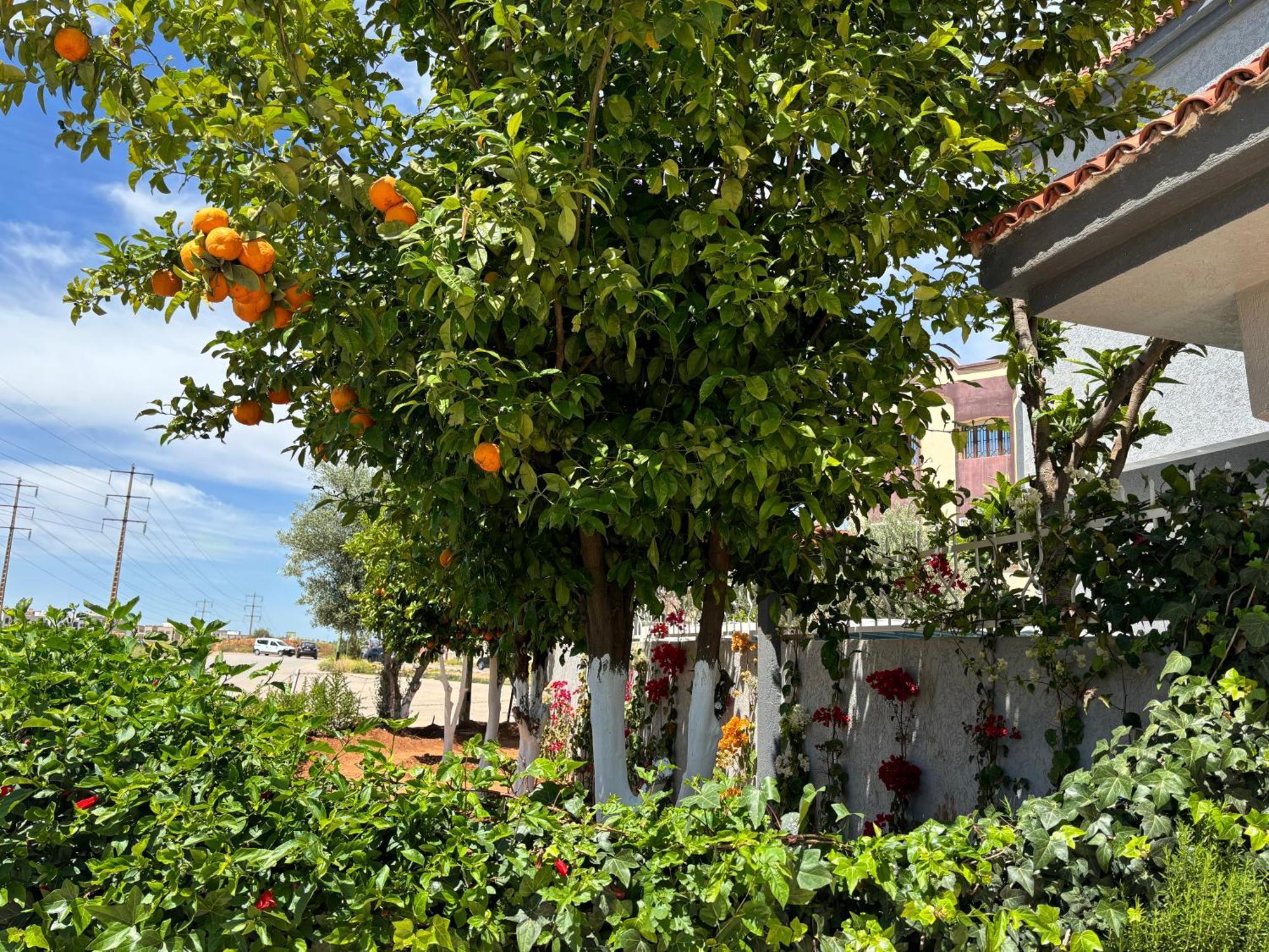 Villa Dar El Kebira Meknès Esterno foto