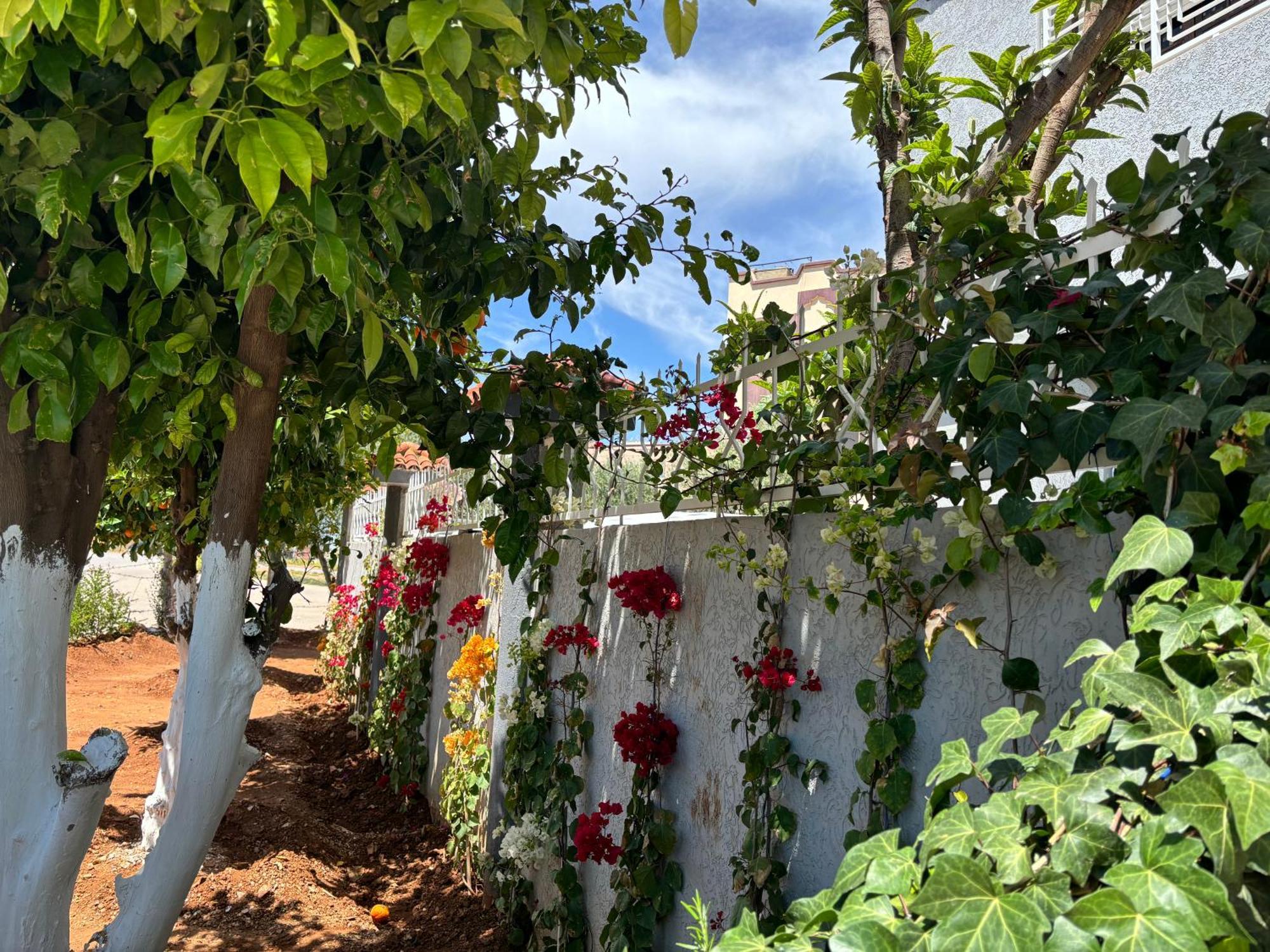 Villa Dar El Kebira Meknès Esterno foto